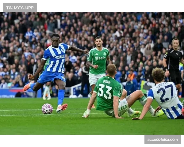 布莱顿维尔贝克赛季十二球 三十五岁老将迎生涯第二春